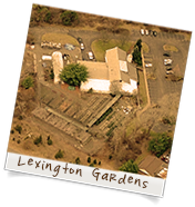 Old Lexington Gardens